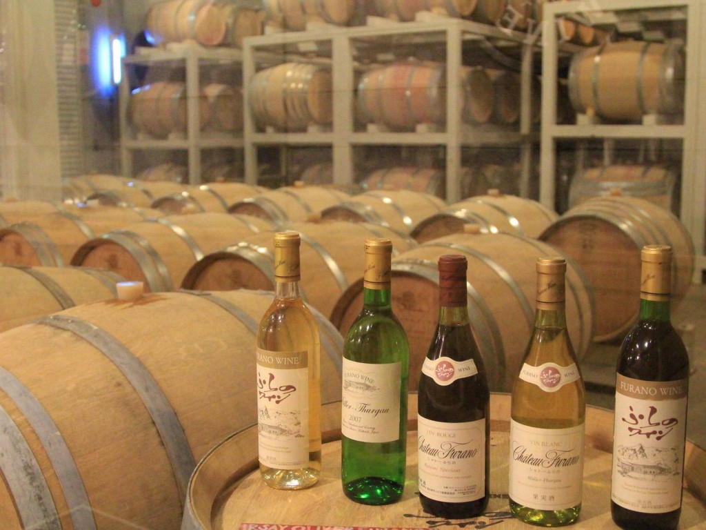 富良野与美瑛薰衣草与自然一日游 3